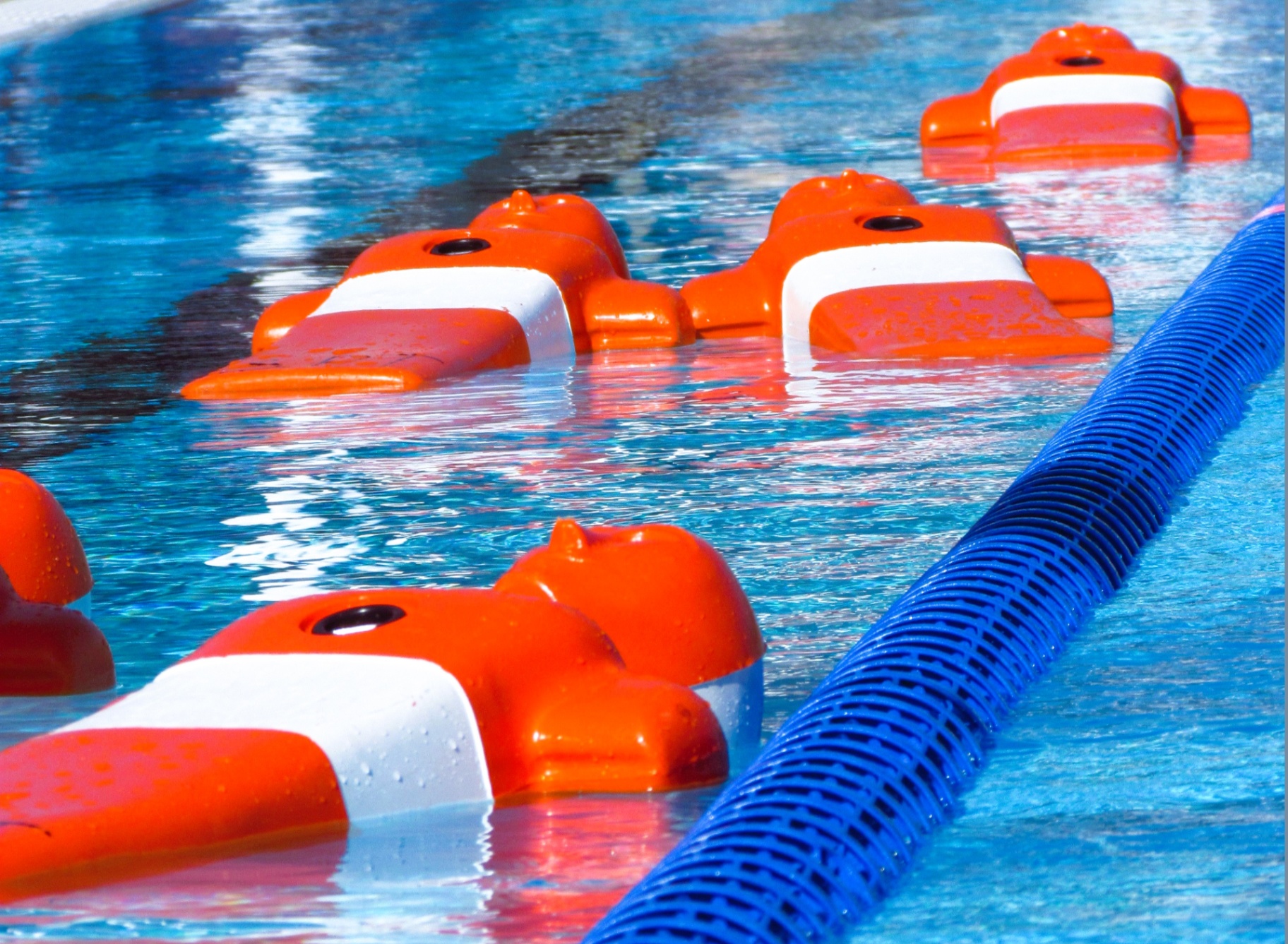 Obstacles de natation en piscine — entraînement Next Génération ESM