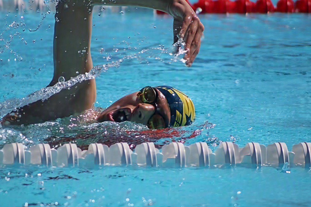 Entraînement de crawl en piscine — Compétition Open ESM Marseille